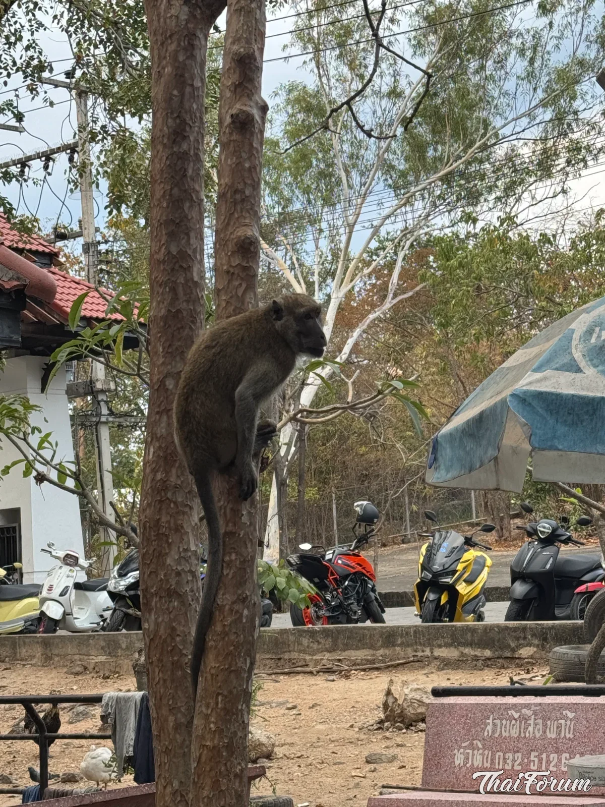 Apberget Hua Hin Thailand