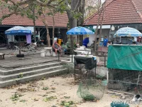 Apberget Hua Hin Thailand