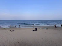 sai_noi_beach_061.webp